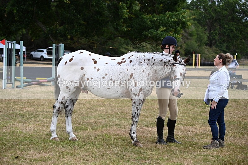 WJ6_4270 - Class 10 Coloured In-hand