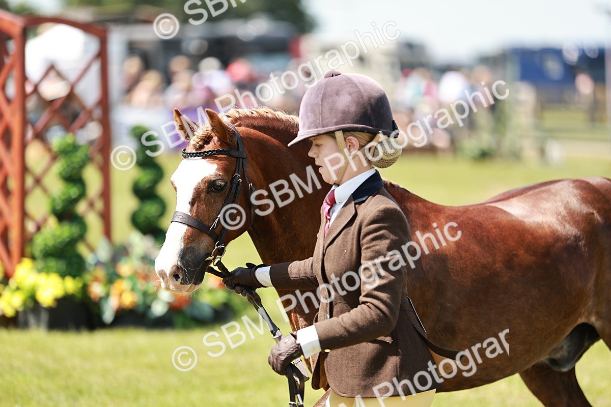 SBM_15548 - Class 108-109 - BSPS LIHS Open Gradle & Nursery Stakes