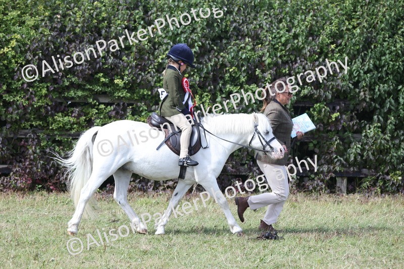 20250831-3267 - Class 24 - Absolute Beginners Pony