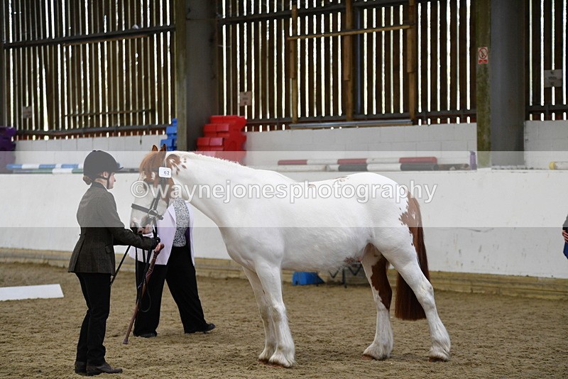 WJ5_5054 - Class 7 In hand coloured / odd coloured