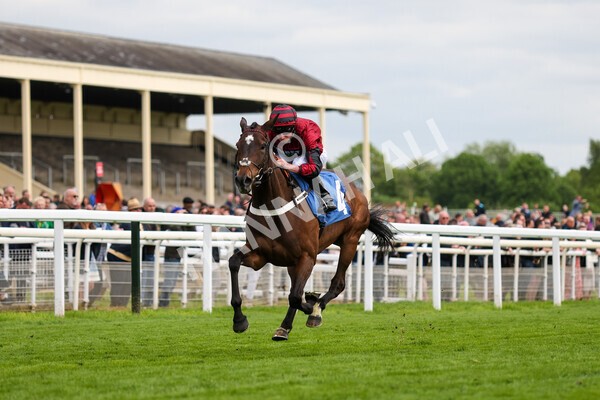 yr12052022r7-24 - Race 7 5.15pm Fidomoney Stakes
