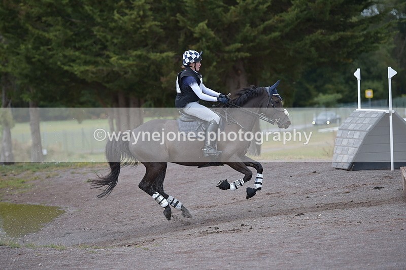 NGP_2355 - XC Time 11:20 to 11:36