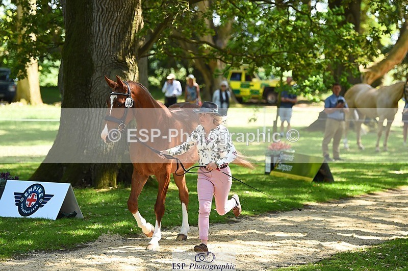 230524-150824-00083 - 308-NEFFECT_S-Kat_Raybould-WEDTrotUp+DR