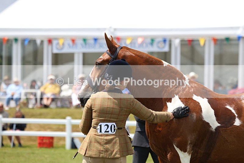 3E7A2119 - Class 10: Open Cob