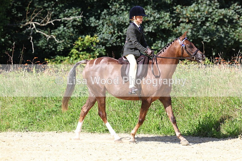3E7A8097 - Class 16: First Ridden