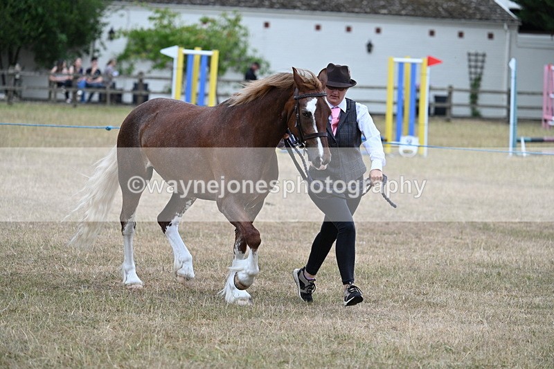WJ7_8236 - Class 4 Prettiest Mare up to 14.2hh