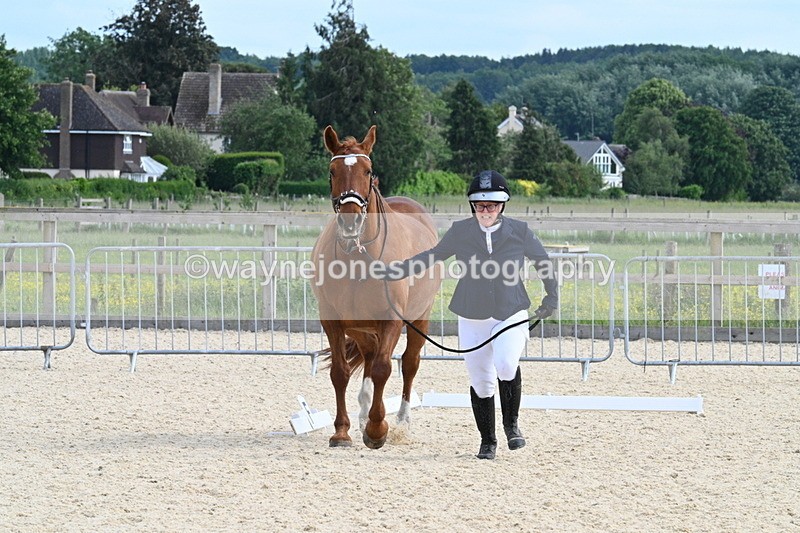 WJ7_8028 - Time 15:39 to 16:08