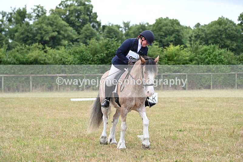 WJ6_3154 - Time 11:07 to 11:34