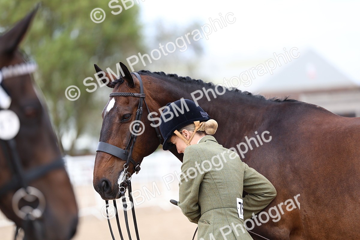 SBM_05752 - Class 28 - IH Veteran Horse