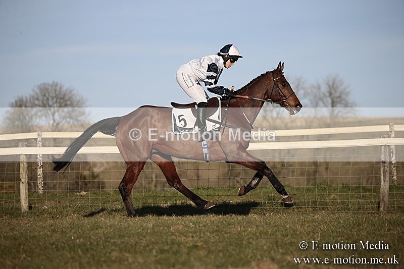 PtP 240218 662 - Vine & Craven Hunt Point-to-Point Barbury racecourse 24/02/18
