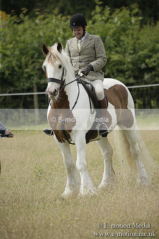 B230619-0444 - Bourne Valley Riding Club Summer Show 23/06/19
