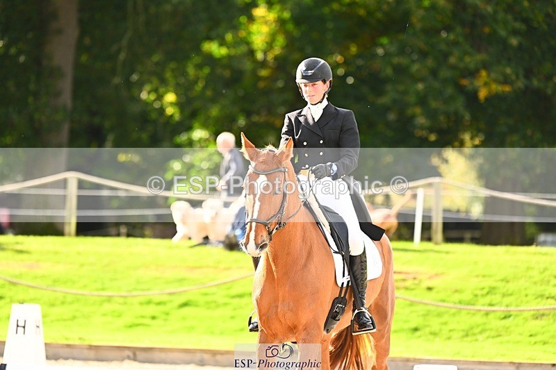 231020-144016-10011 - 309-CROSSTOWN.FINTANS.LAST-Catherine.Burrell-DR