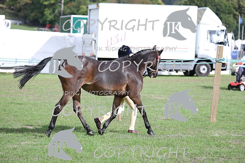 APP_2591 - Class 9 Veterans in hand