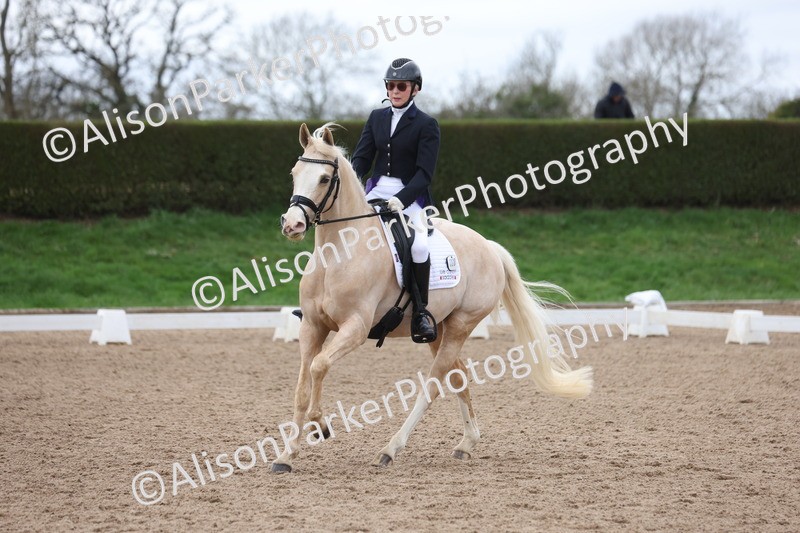 20260301-0474 - Class 3 - Novice 4