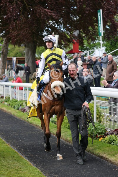 yr11052022r2-43 - Race 2 2.25pm Churchill Tyres Stakes