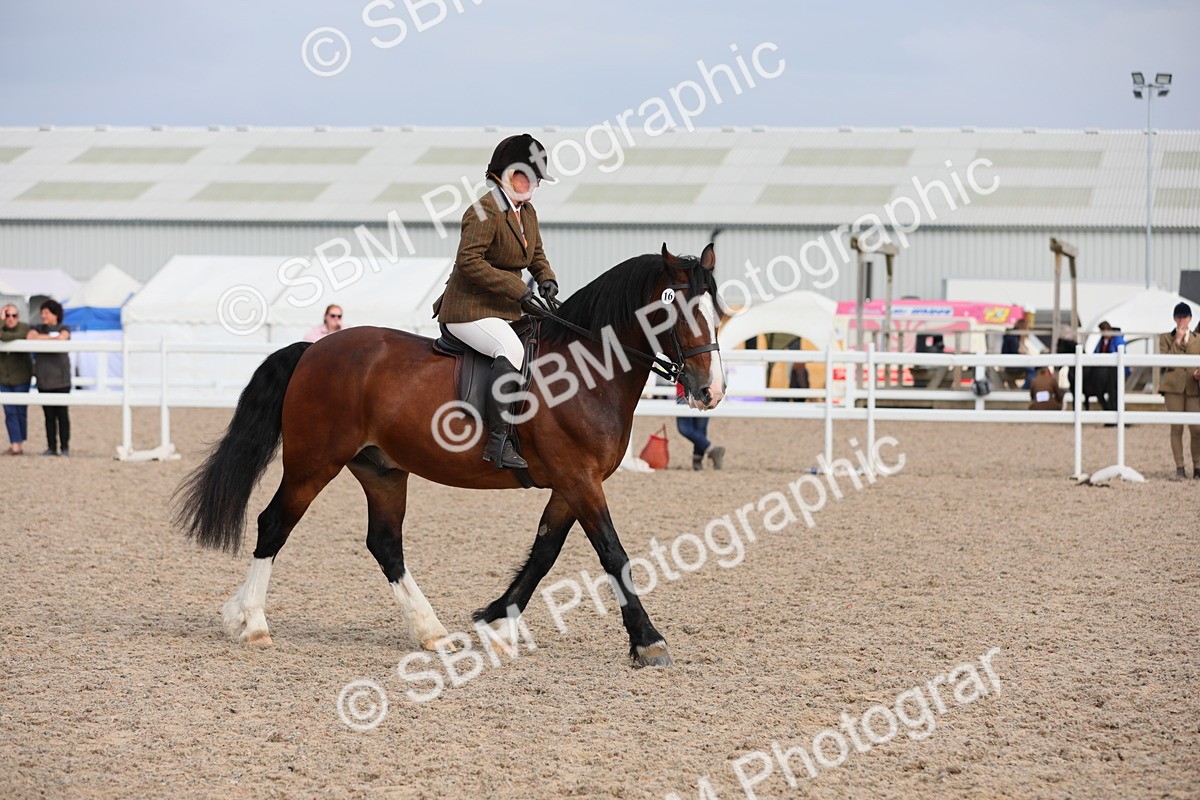 SBM_17748 - Class 315 Best Horse/Rider Combination