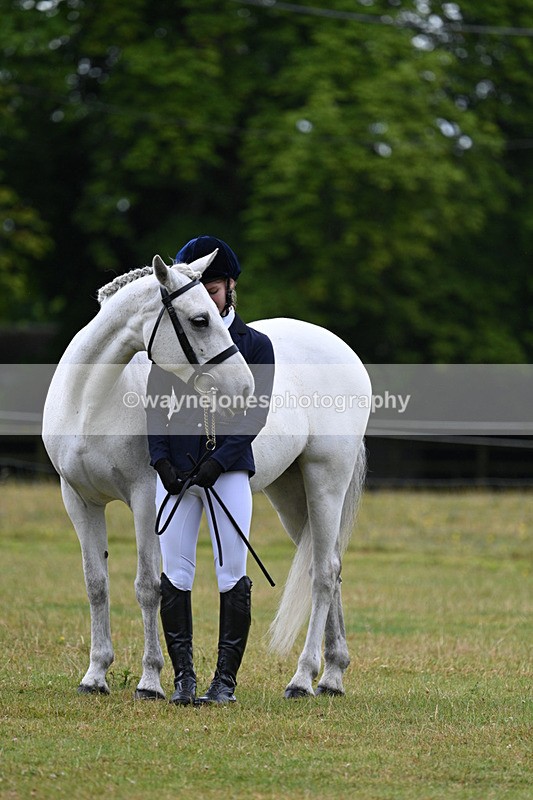 WJ7_6345 - Class 4a Prettiest Mare over 14hh