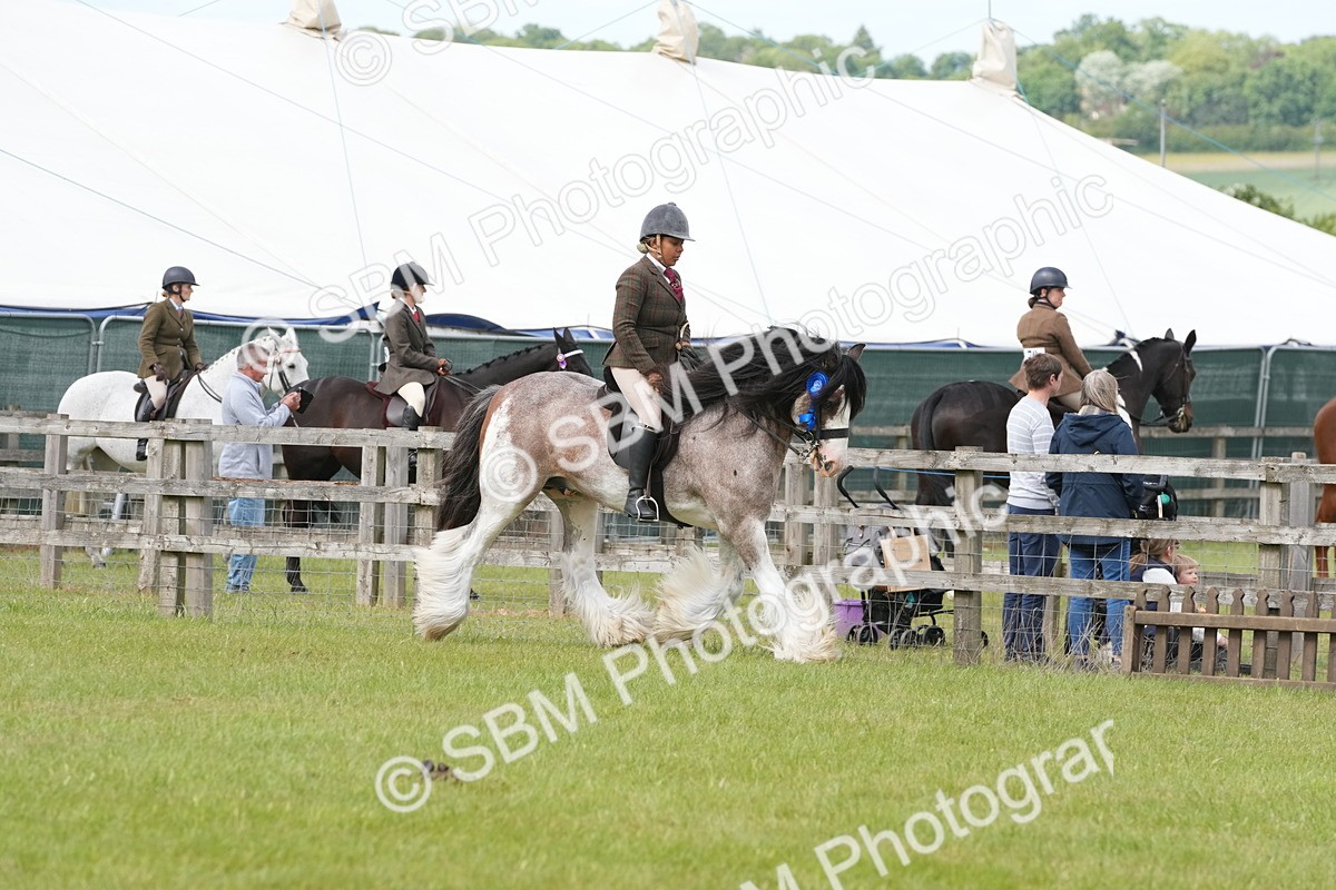 SBM_17632 - Class 107-108 - LIHS BSPS Performance Coloured Horse Pony