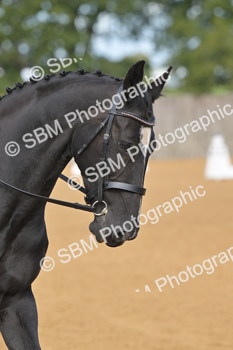 SBM_03782 - D2 - Small Tour Championship Intro 2