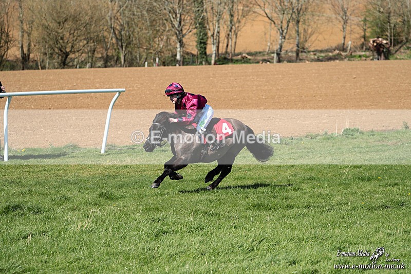Shet 060426 190 - Shetland Pony Racing Paxford Races Easter Mon 06/04/26