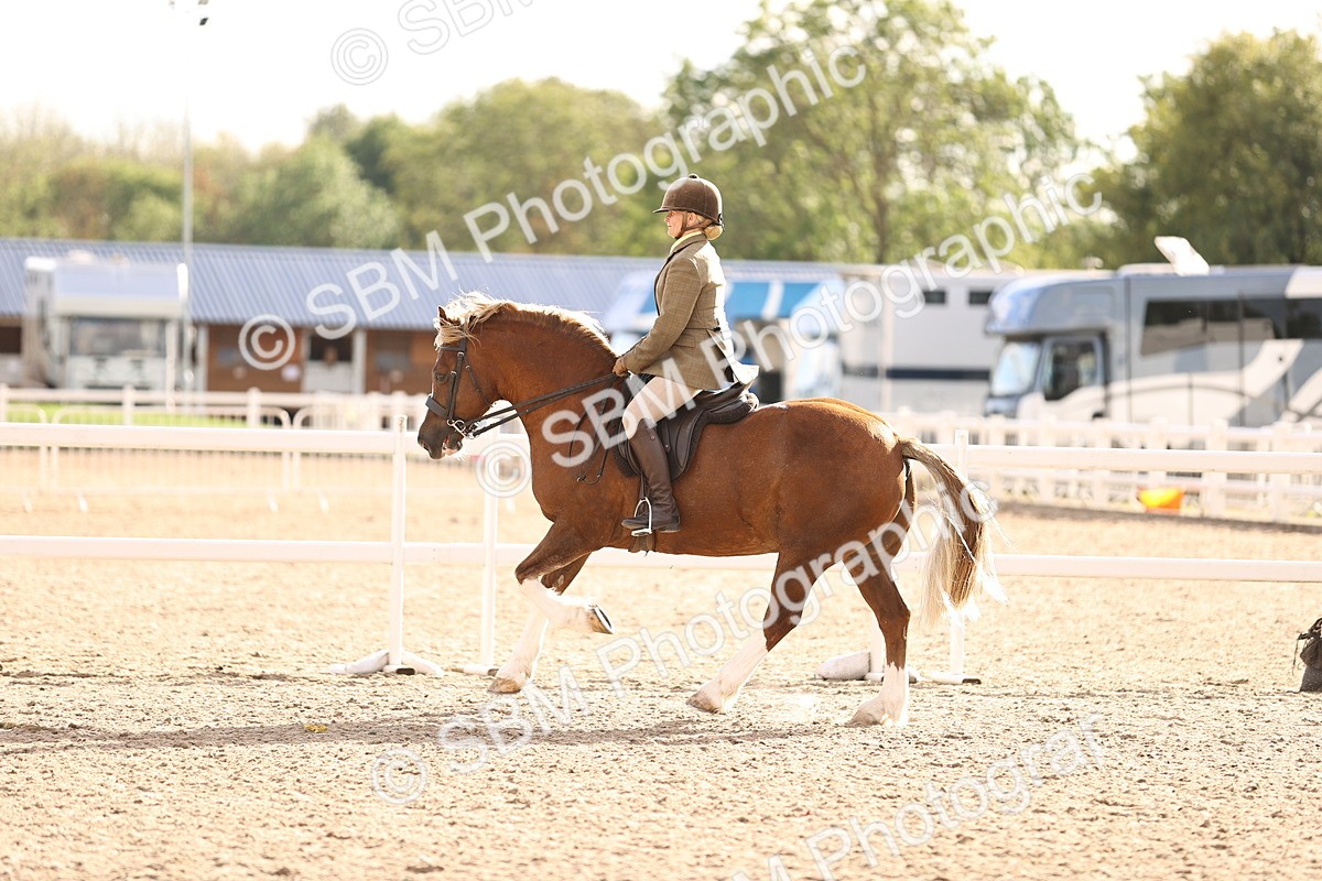 SBM_18259 - Class 423 - Equitation (best rider) Adult