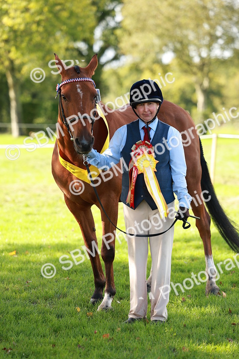 SBM_42218 - S32 - Mountain & Moorland Working Hunter Pony