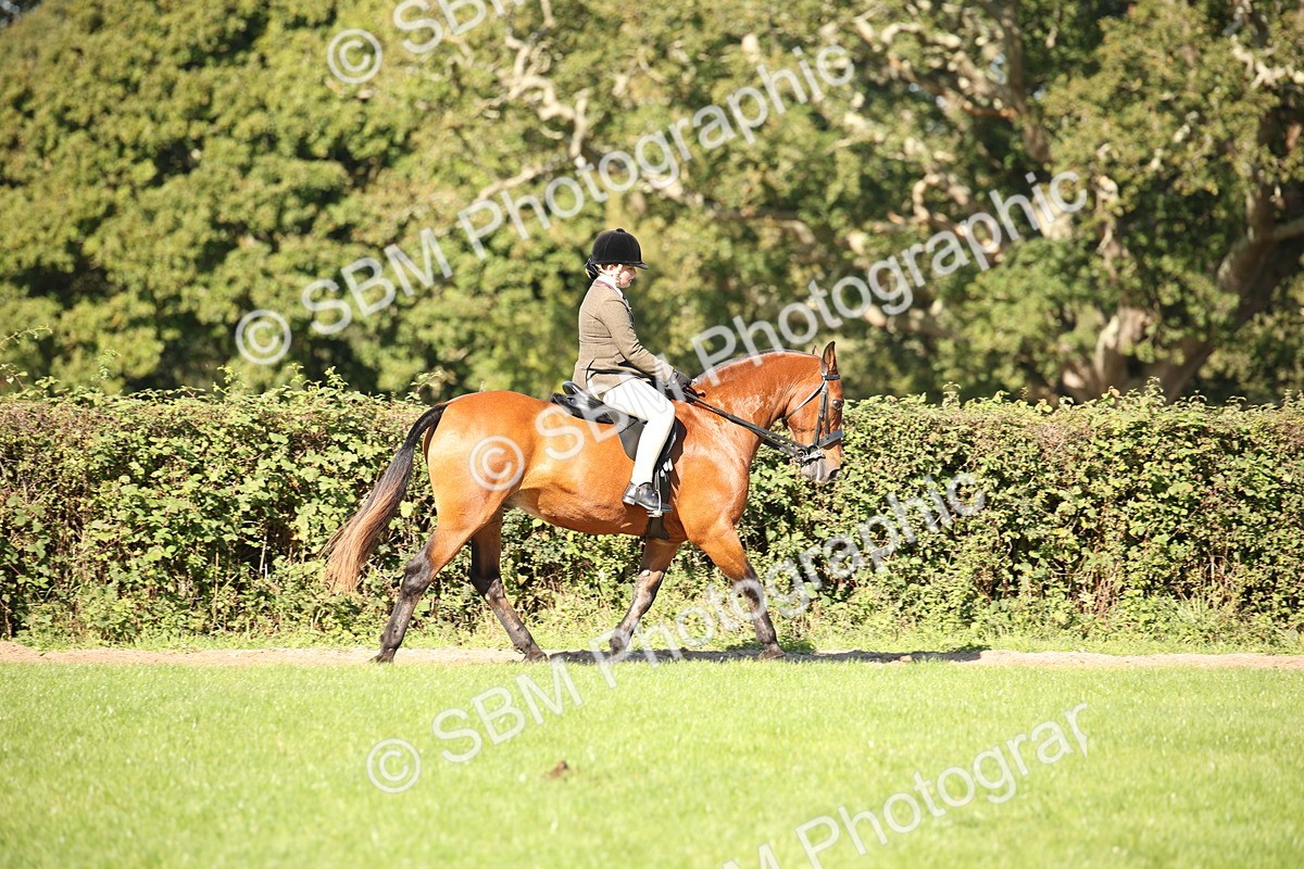 SBM_38943 - S11 - Best Ridden Horse & Pony