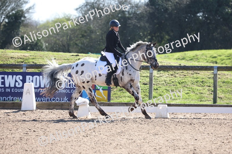 20260318-0470 - Class 5 - Novice 2