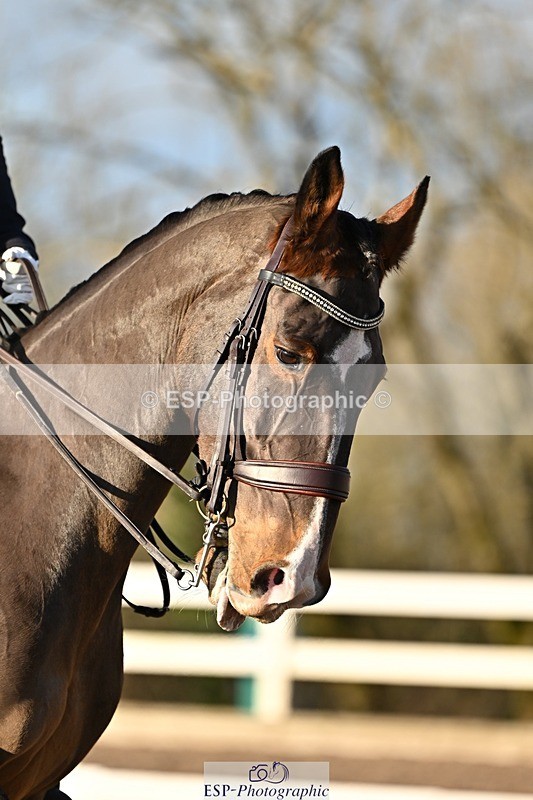 241214-141829-02793 - 153-Sally.Bell-Hilton.VI