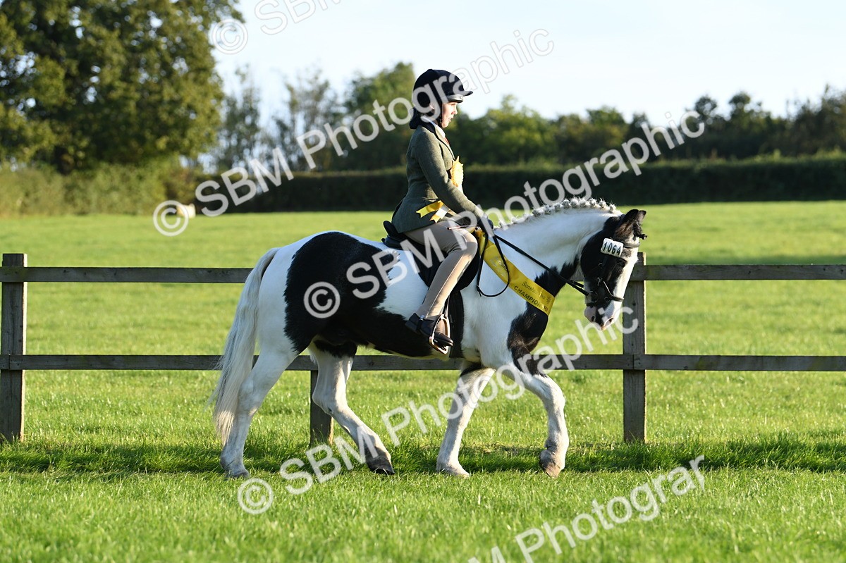 SBM_56423 - 1st Ridden Supreme Championship