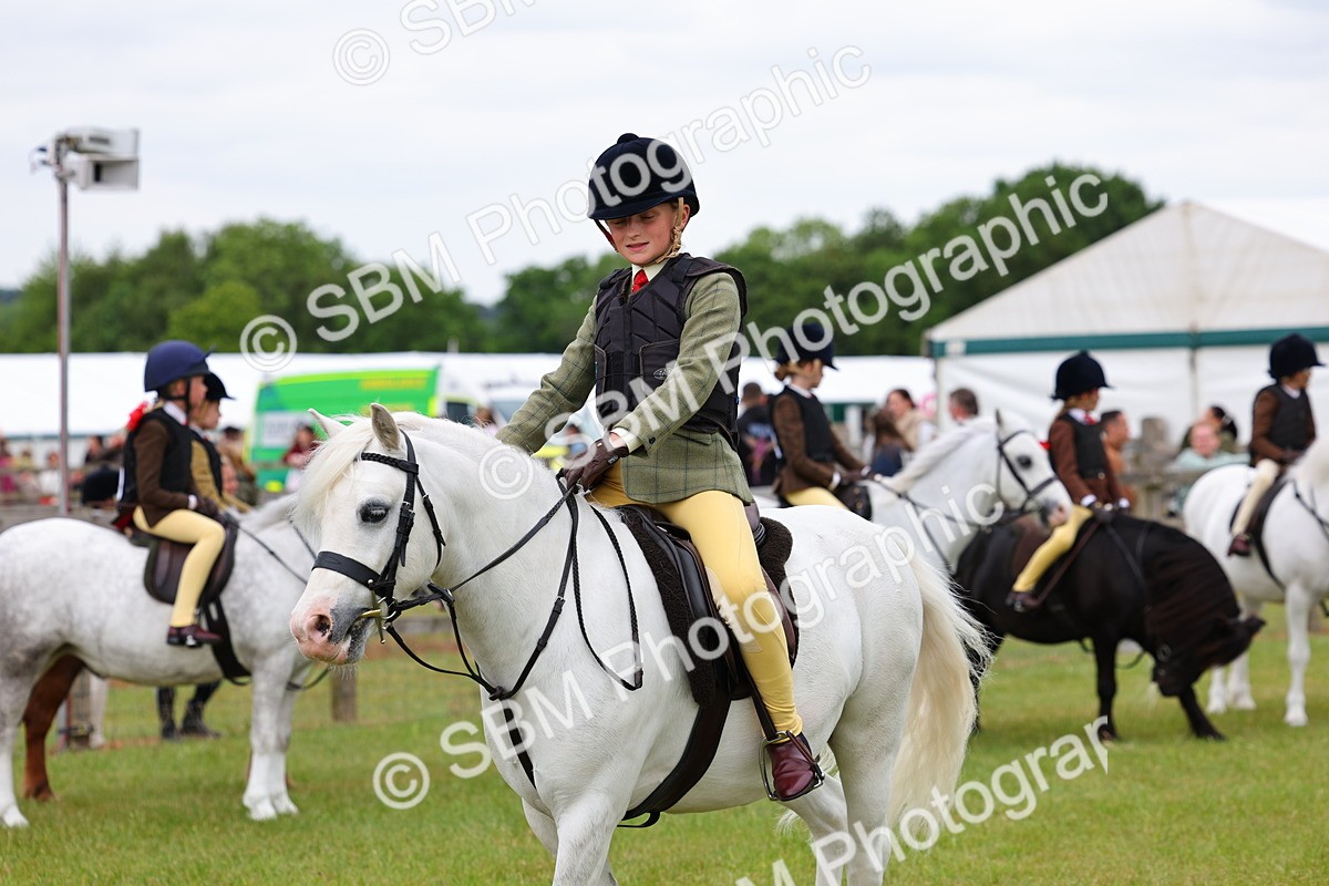SBM_08755 - Class 42-43 - LIHS BSPS Heritage Working Sports Pony