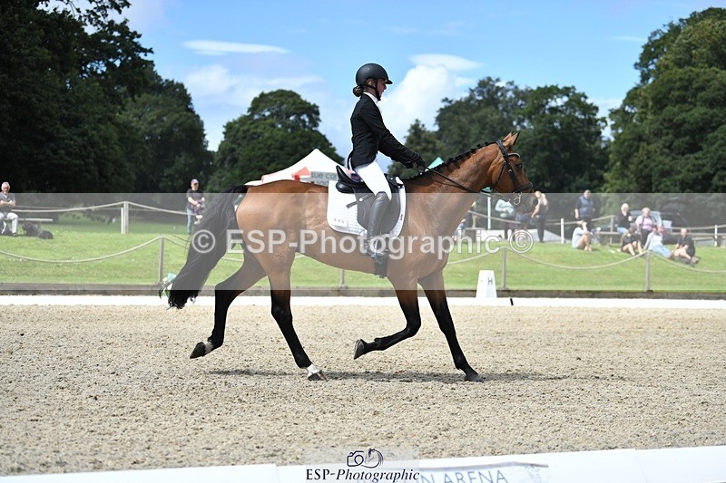 230812-130914-04278 - Cls 6 Novice Silver 12.10 to End