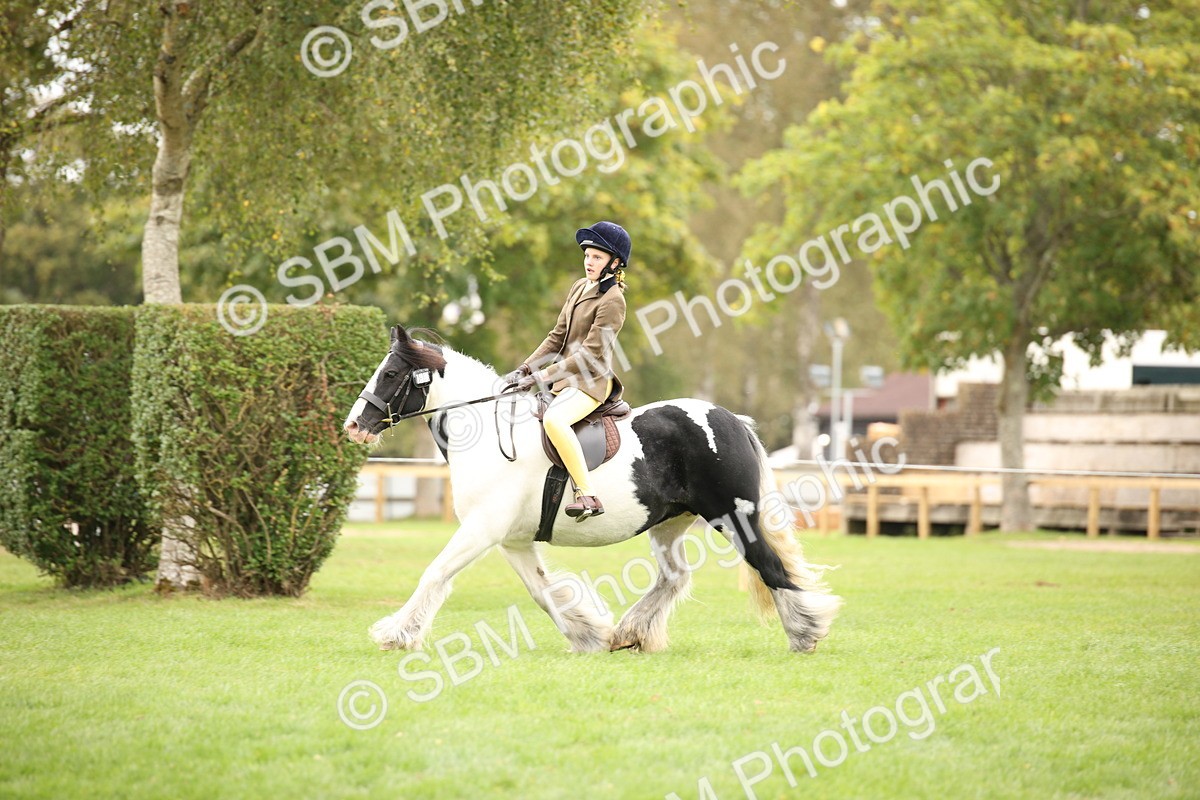 SBM_73547 - S68 - Traditional Cob Ridden