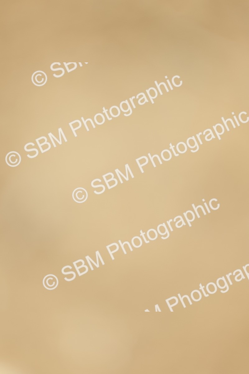 SBM_019485 - Class 21 - jump offs