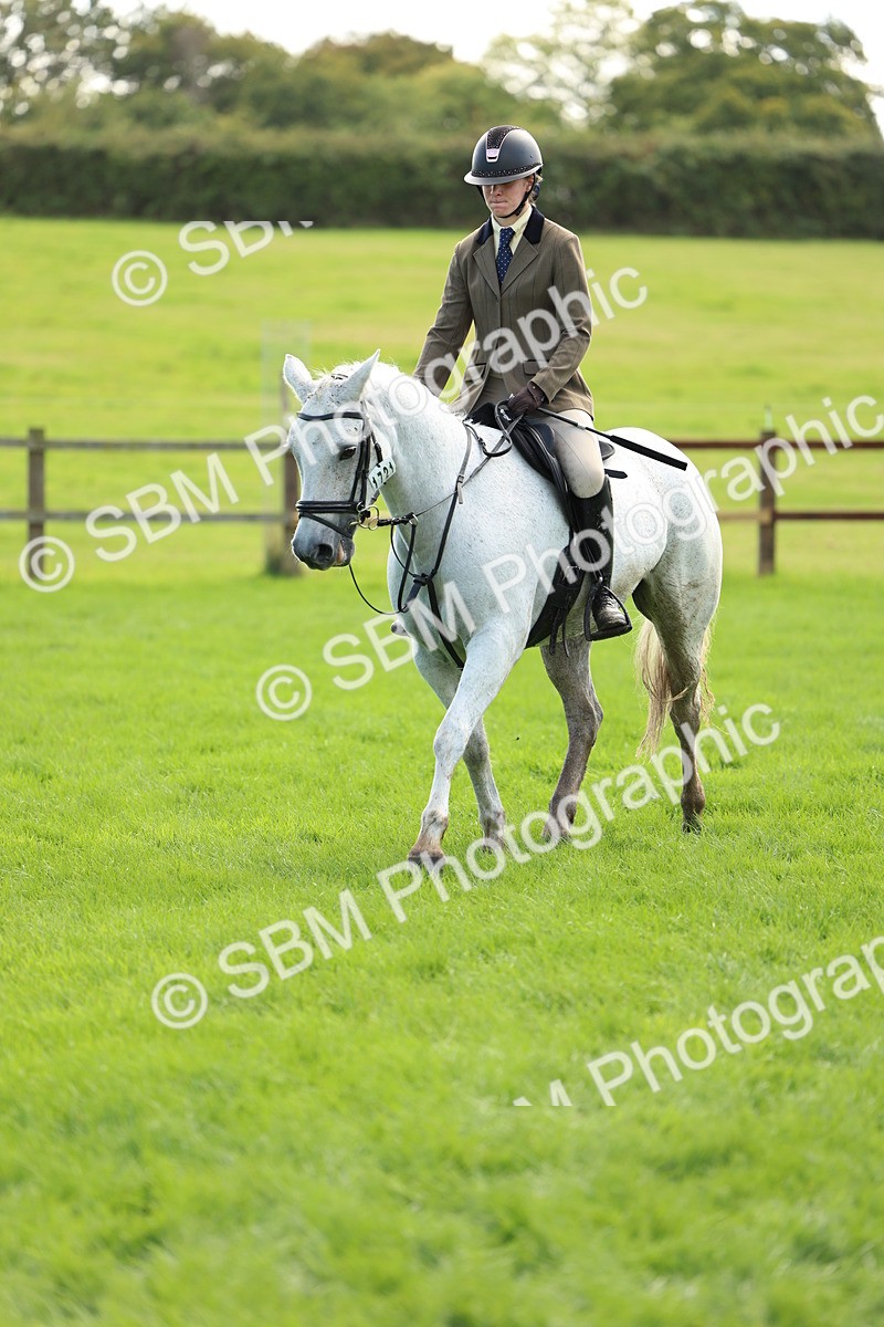 SBM_45527 - S33 - Working Hunter Pony