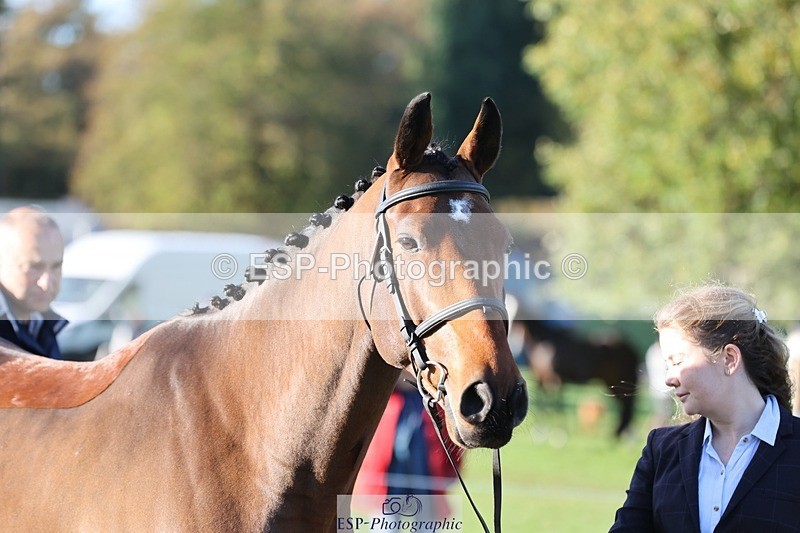 241027-091509-15158 - 360-Annalise.Olson-ROSS.DUFF.REILLY