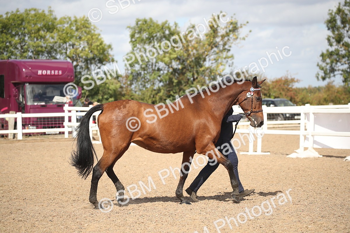 SBM_23405 - Class 604 - 2026 - Area IH Diamond