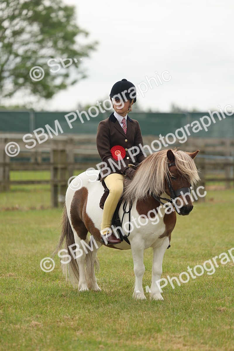 SBM_09149 - Class 78-80 - Ridden M&M Non Welsh Ponies