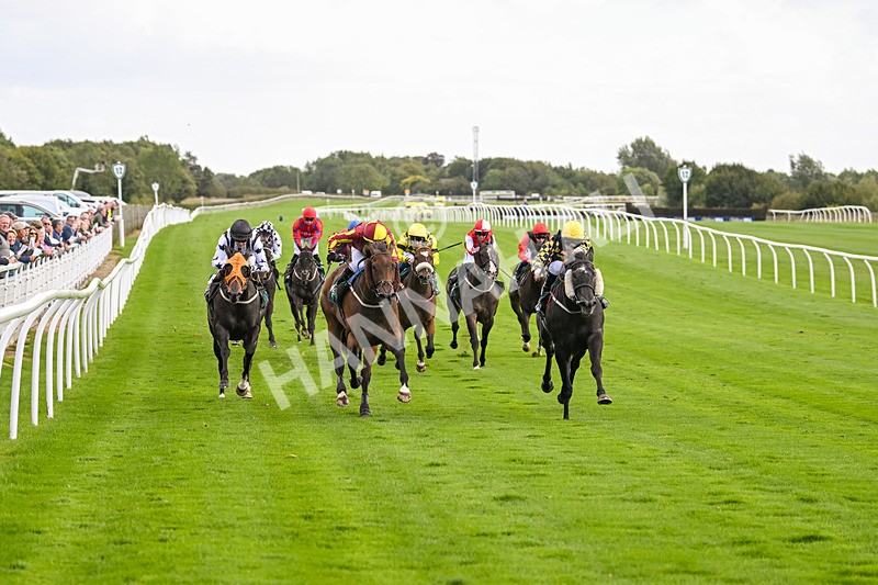 100924-Race 2-Keldeo-0007 - Race 2