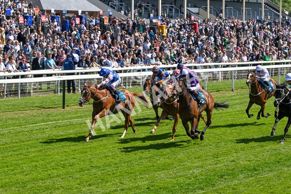 160525-Race 2-Thunder Run-6237 - Race 2 2.42pm Knights Solicitors Handicap