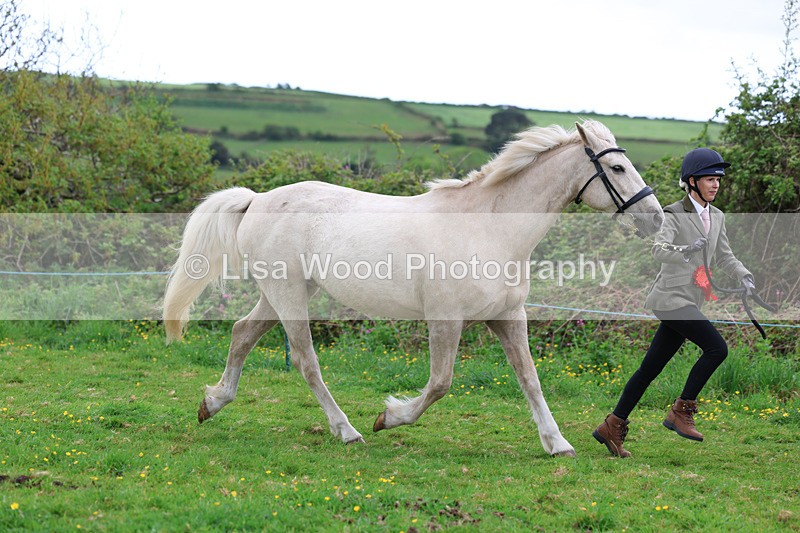 3E7A0757 - In Hand Championship