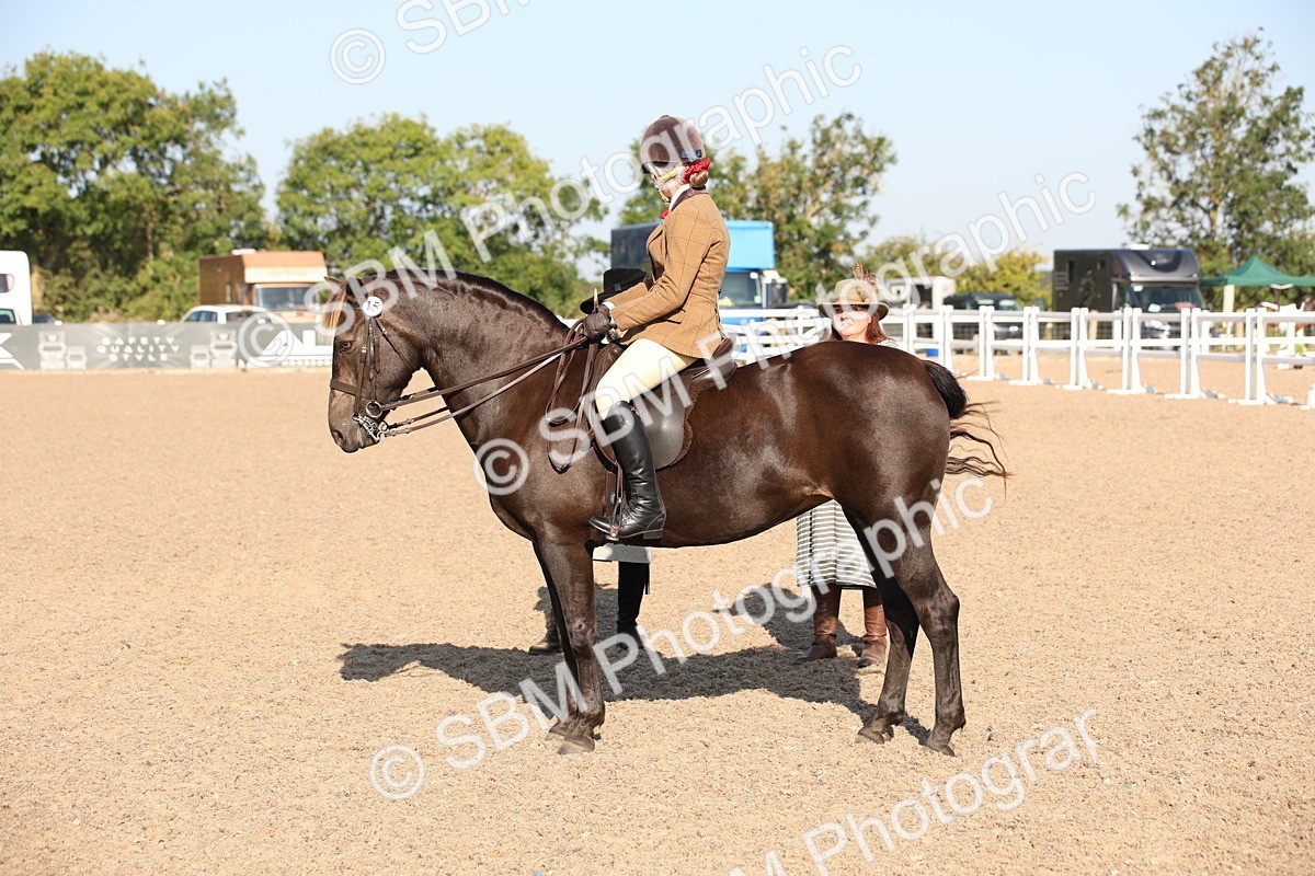 SBM_00730 - Class 14 Ridden M&M Wildcard