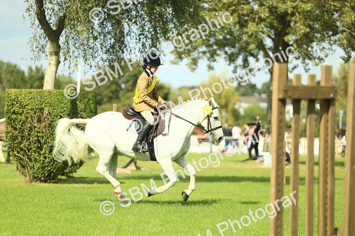 SBM_44924 - Working Hunter Pony Supreme Championship