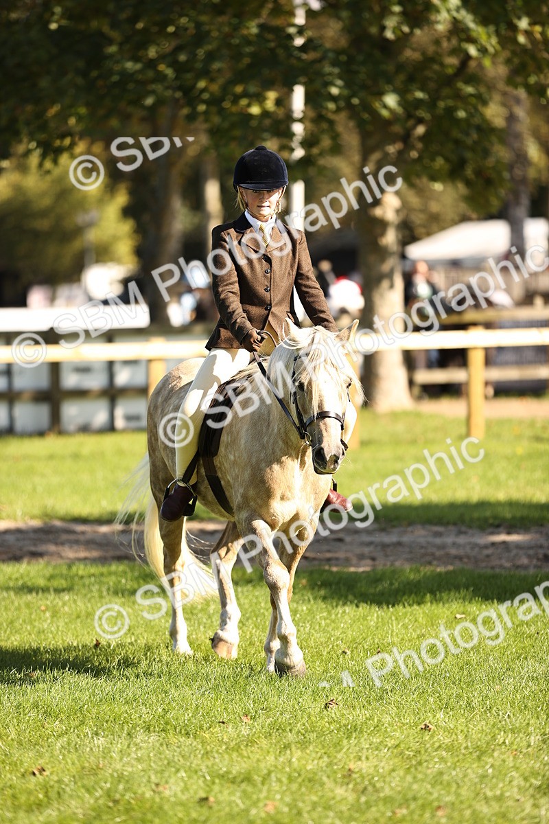 SBM_19079 - S3 - TSR Ridden Pony Showing