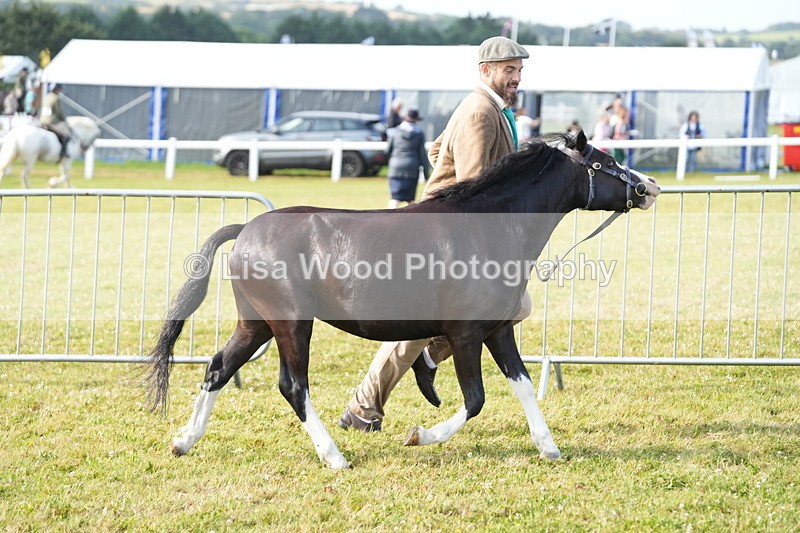 DSC04925 - Class 48: NPS M&M 2/3 year olds