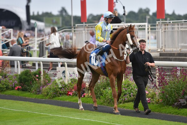 yr24072021r7-37 - Race 7 5.35pm The Sporting Life Fast Results Stakes