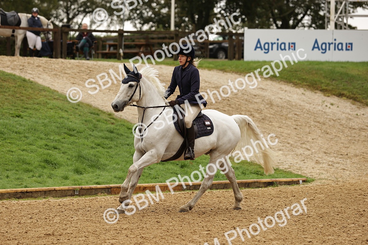 SBM_33044 - J38 - Senior Horse & Pony 80cm Championship