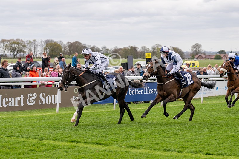 160425-Race 1-Ali Shuffle-2261 - Race 1