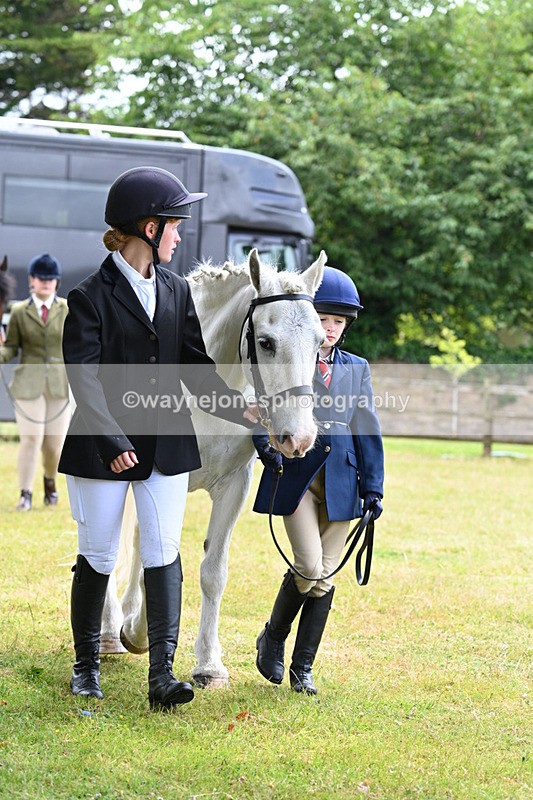 WJ7_6499 - Class 5 Handsome Gelding in hand