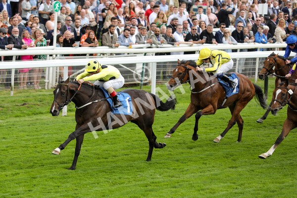 yr11062022r6-28 - Race 6 4.15pm Reg Griffin Appreciation EBFstallions.com Maiden Stakes